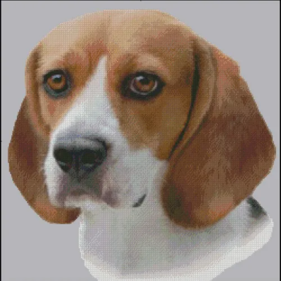 Beagle (No Background)